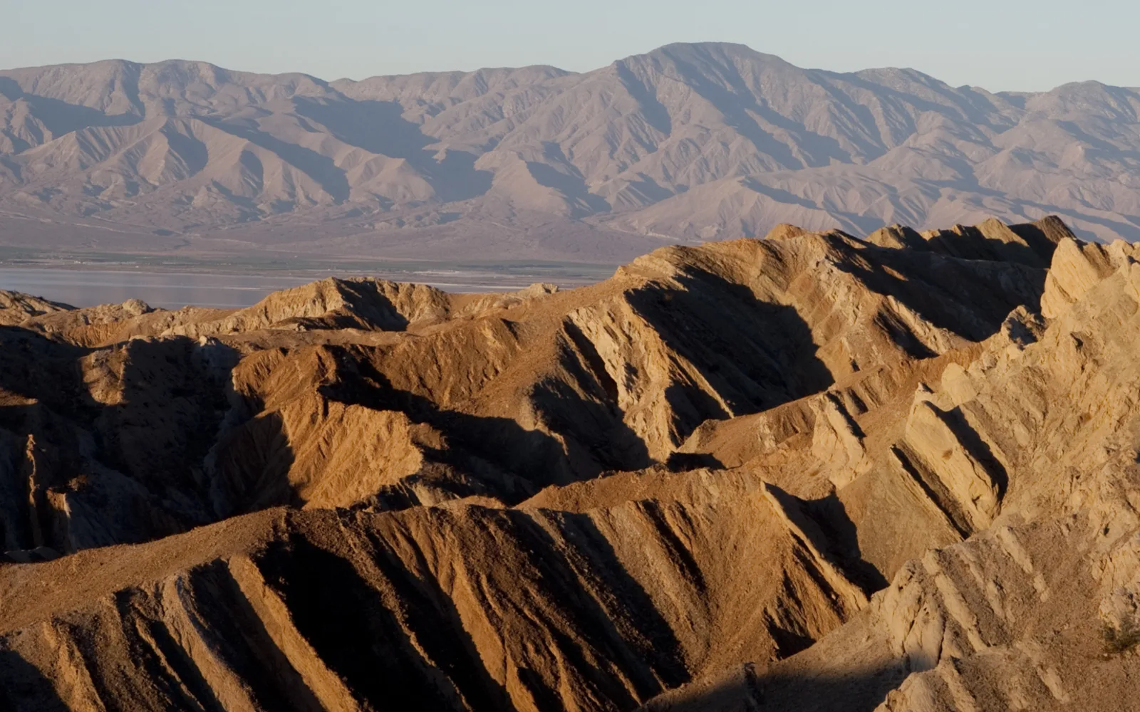 Desert dunes with sparse vegetation under a bright sky