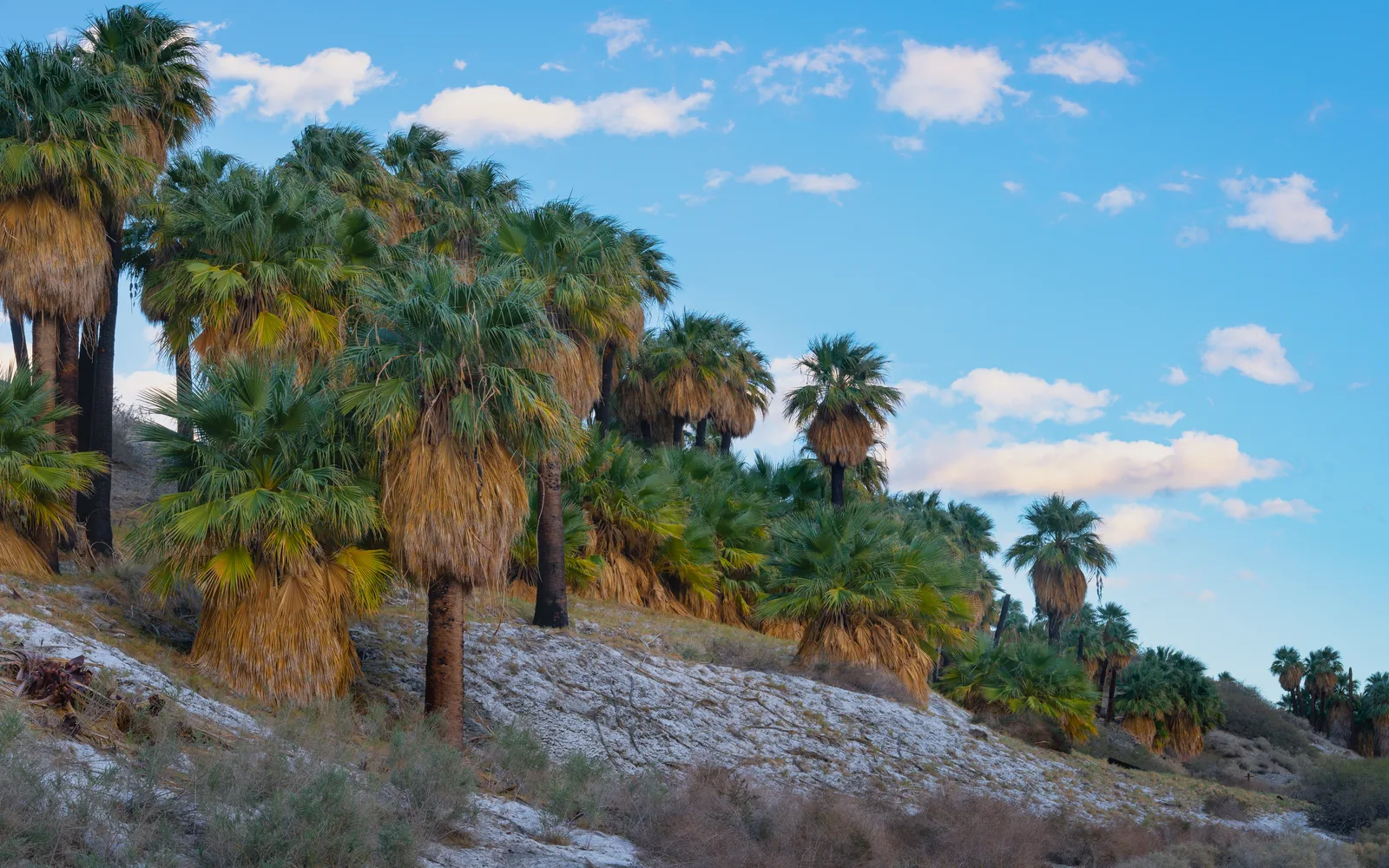 Desert landscape with development in a wide valley between mountains